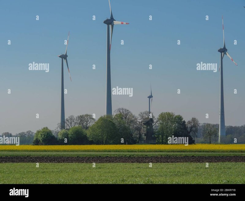 Erlebe den Actionkick im Spinmills Online Casino in Deutschland